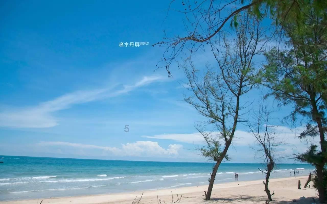 救援农场少年