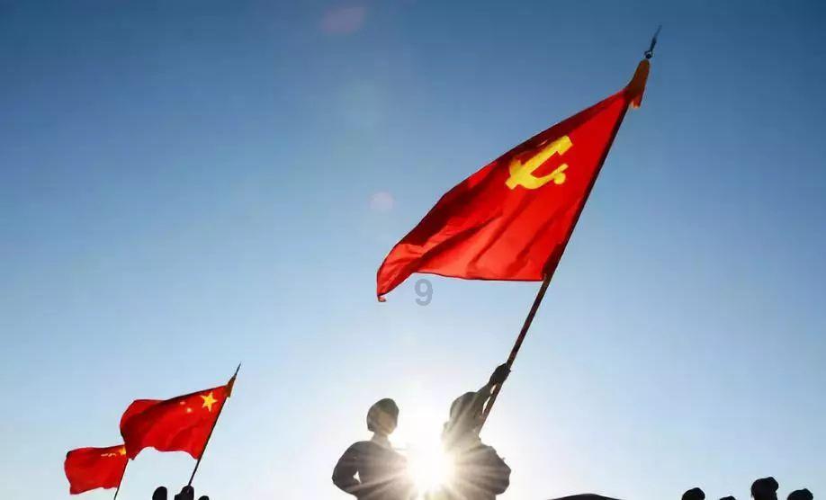 萌宠大连接