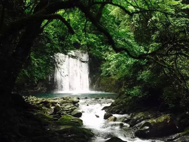 你好邻居
